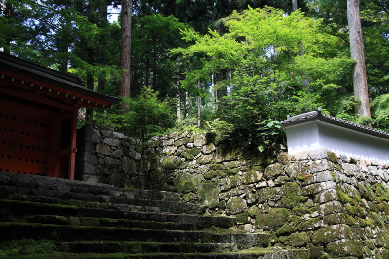 f:id:hiroshisj:20110627130621j:image