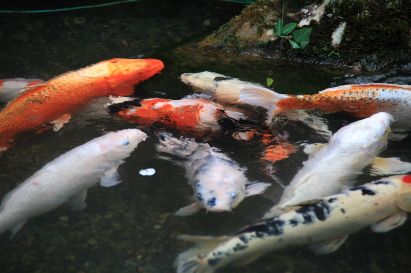 f:id:hiroshisj:20110627221628j:image