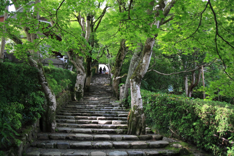 f:id:hiroshisj:20110627221651j:image