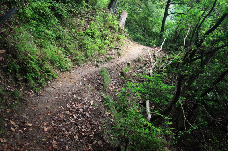 f:id:hiroshisj:20110801151337j:image f:id:hiroshisj:20110801151337j:image