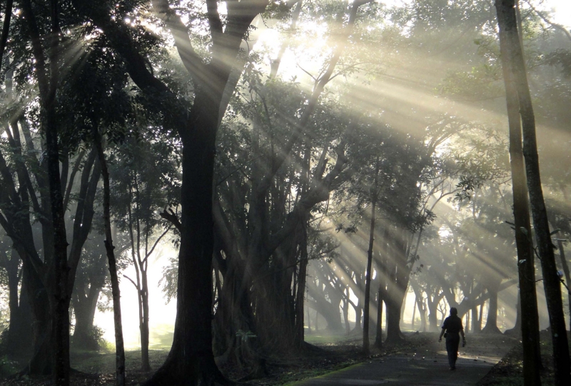 f:id:hiroshisj:20110811094723j:image f:id:hiroshisj:20110811094723j:image