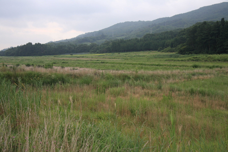 f:id:hiroshisj:20110830121955j:image f:id:hiroshisj:20110830121955j:image