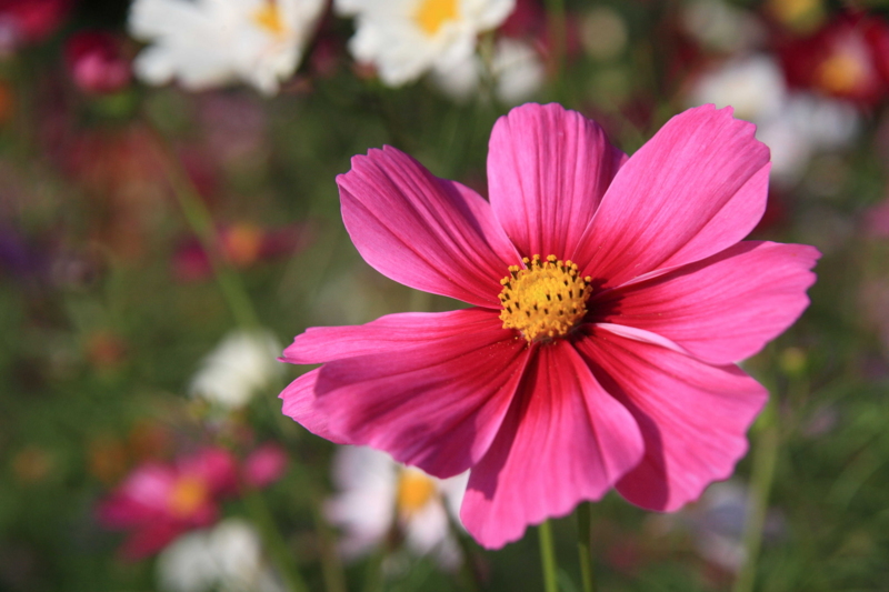 f:id:hiroshisj:20111022215542j:image