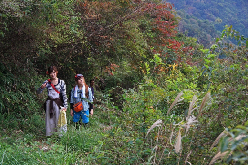 f:id:hiroshisj:20111107194958j:image