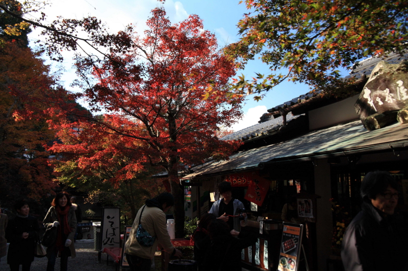 f:id:hiroshisj:20111201163040j:image