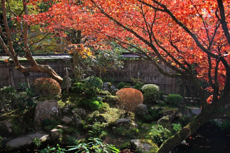 f:id:hiroshisj:20111202122001j:image