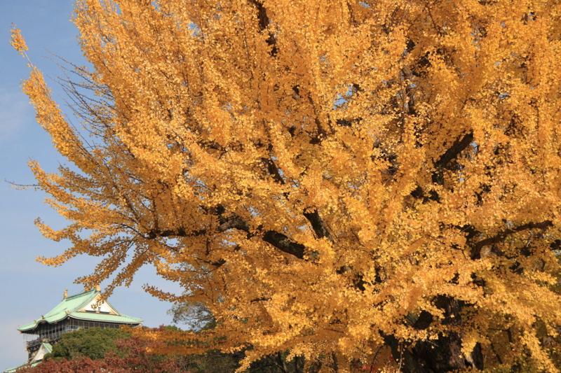 f:id:hiroshisj:20111214210248j:image