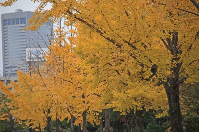 f:id:hiroshisj:20111214233254j:image