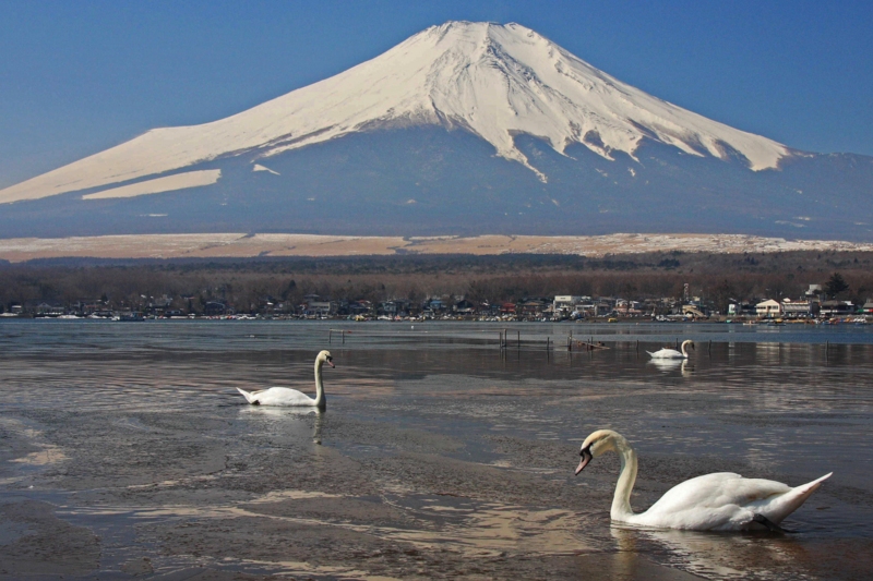 f:id:hiroshisj:20111231213842j:image