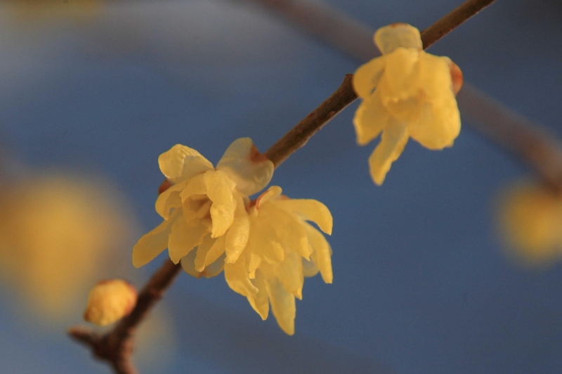 f:id:hiroshisj:20120110192748j:image