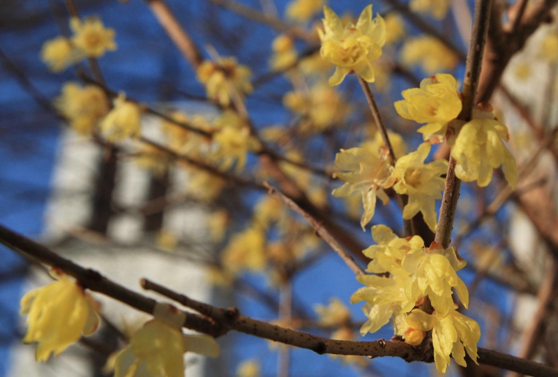 f:id:hiroshisj:20120110194354j:image