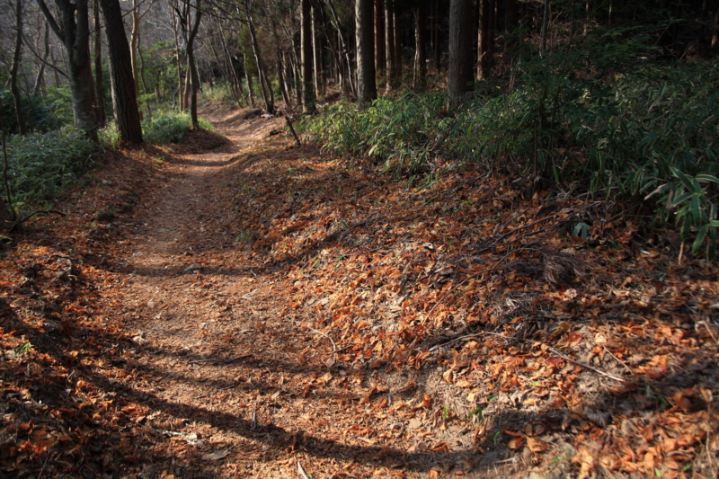 f:id:hiroshisj:20120111230828j:image f:id:hiroshisj:20120111230828j:image