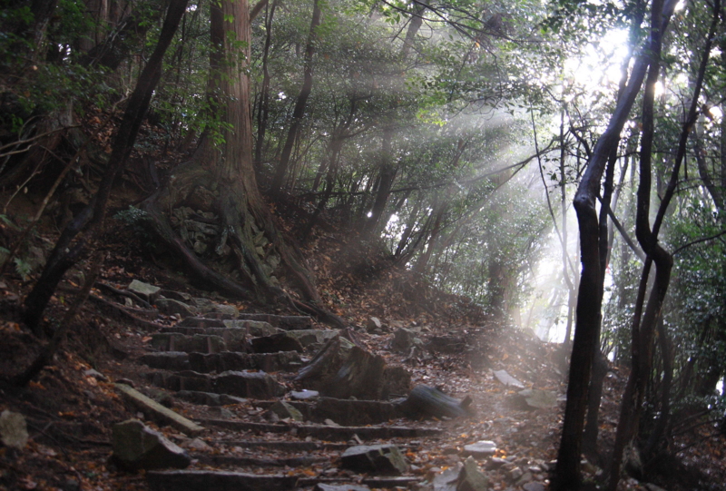 f:id:hiroshisj:20120115094246j:image