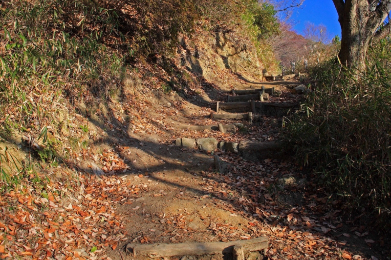 f:id:hiroshisj:20120116174007j:image f:id:hiroshisj:20120116174007j:image