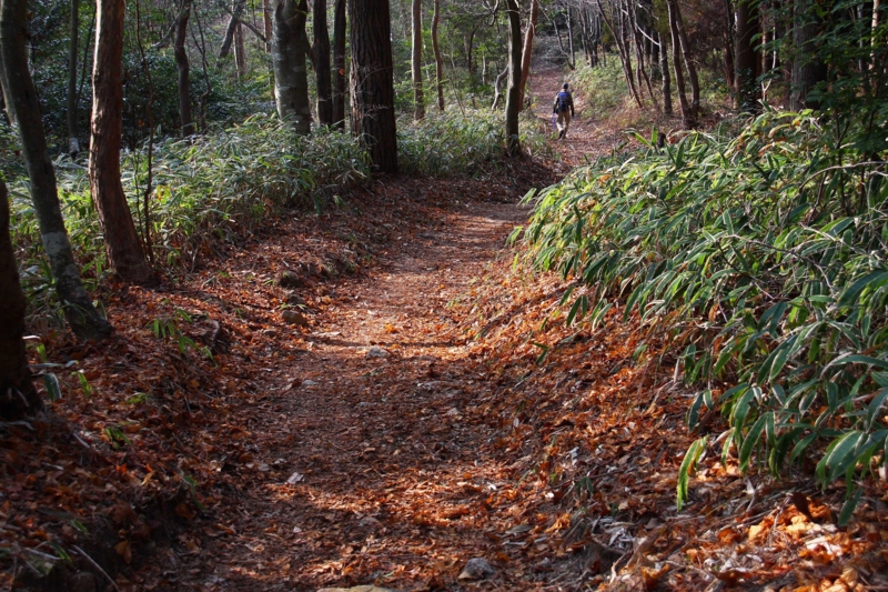 f:id:hiroshisj:20120121193226j:image