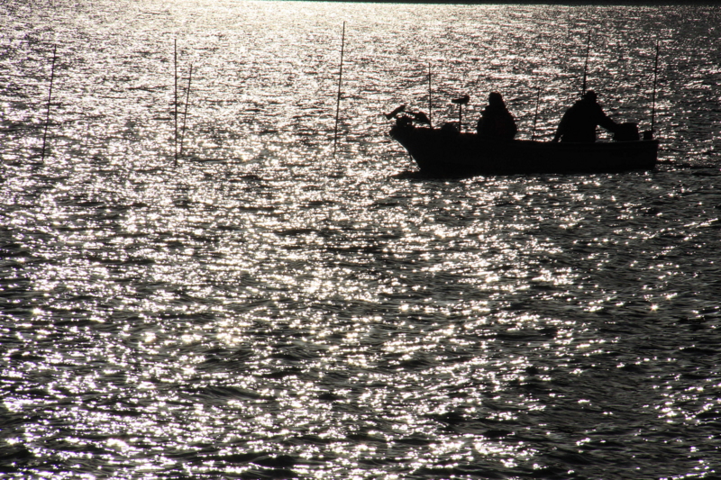 f:id:hiroshisj:20120122174146j:image