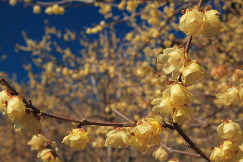 f:id:hiroshisj:20120123151048j:image