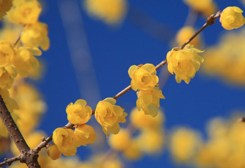 f:id:hiroshisj:20120125174919j:image
