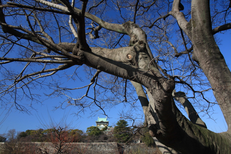 f:id:hiroshisj:20120125234632j:image f:id:hiroshisj:20120125234632j:image