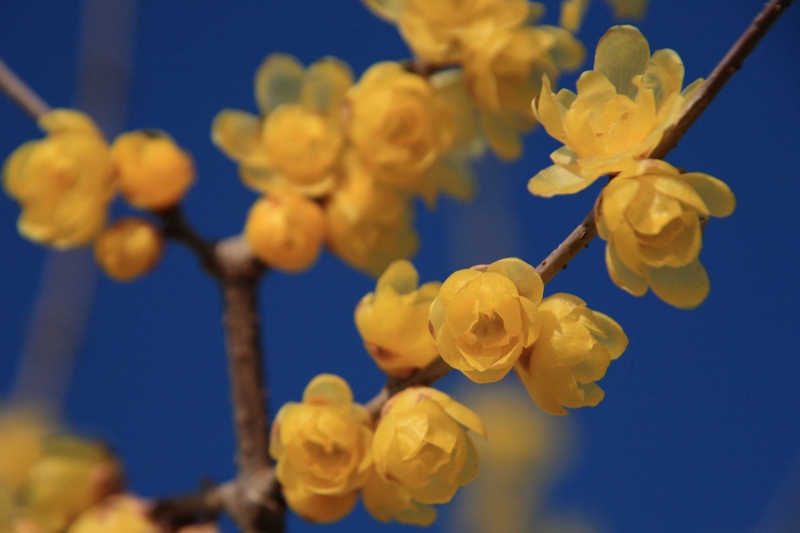 f:id:hiroshisj:20120125234659j:image f:id:hiroshisj:20120125234659j:image