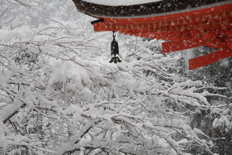 f:id:hiroshisj:20120129114742j:image