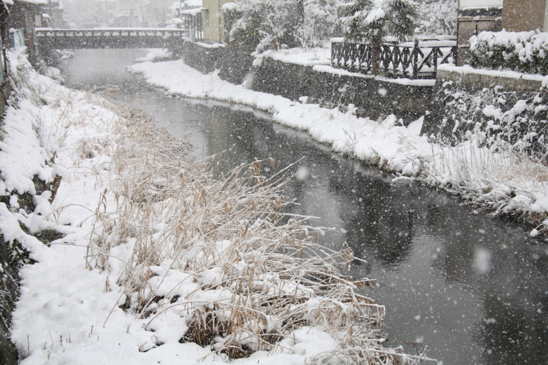 f:id:hiroshisj:20120131174516j:image