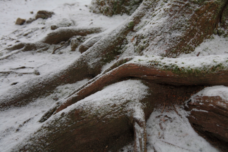 f:id:hiroshisj:20120210171522j:image f:id:hiroshisj:20120210171522j:image