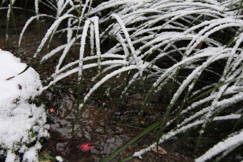 f:id:hiroshisj:20120210171551j:image f:id:hiroshisj:20120210171551j:image