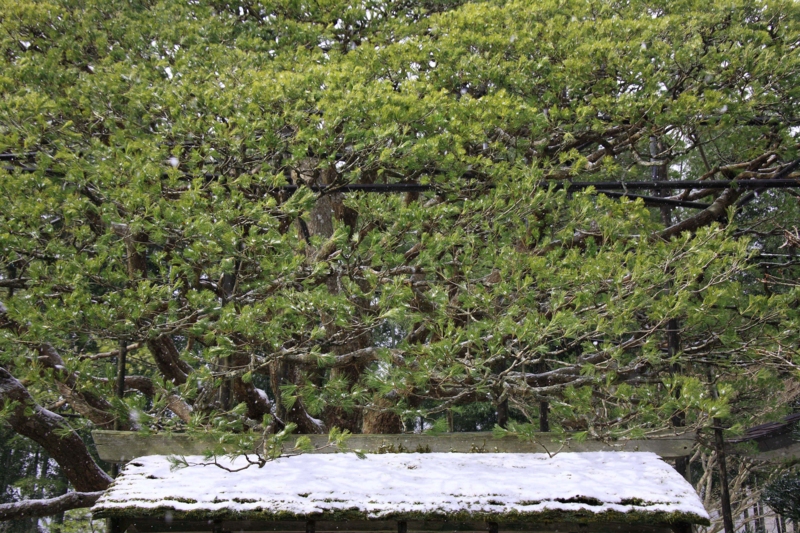 f:id:hiroshisj:20120213194732j:image