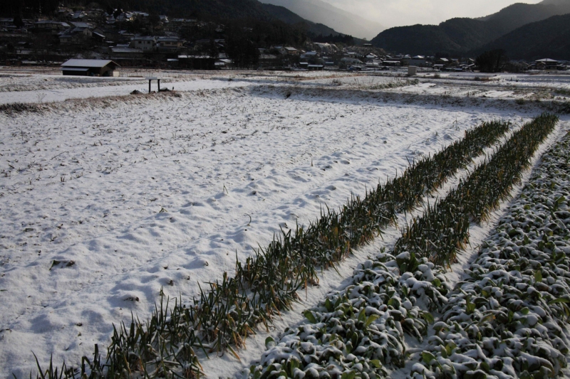 f:id:hiroshisj:20120215220156j:image