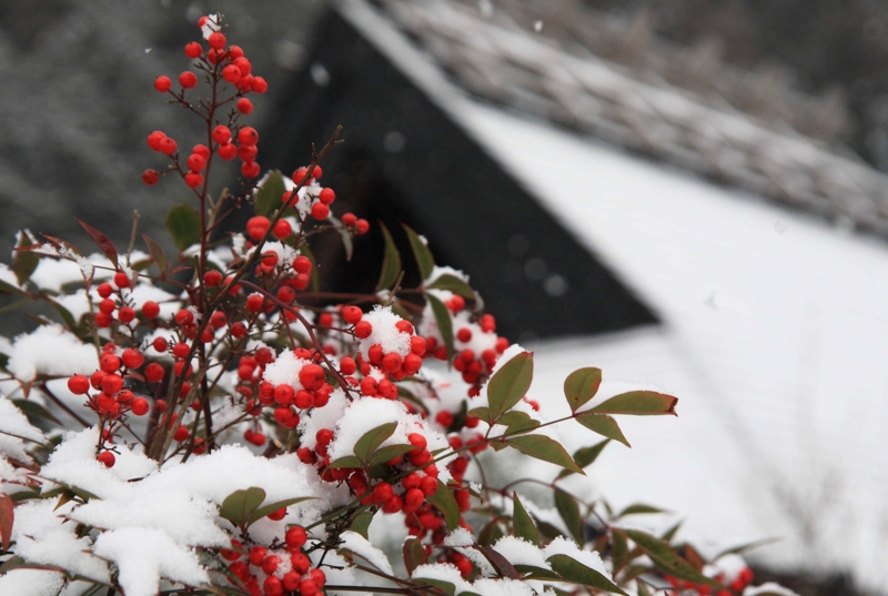 f:id:hiroshisj:20120215220209j:image