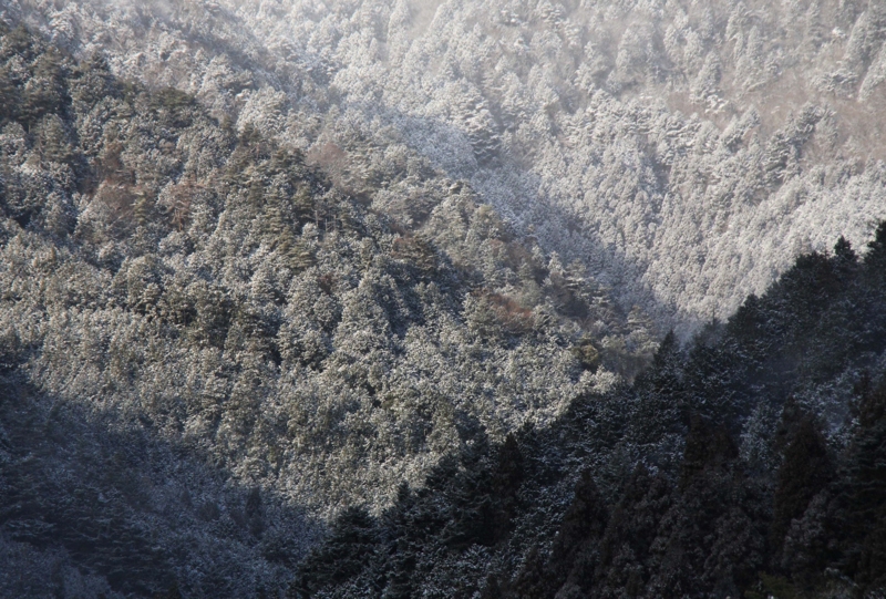 f:id:hiroshisj:20120215220250j:image