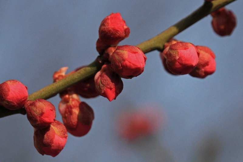 f:id:hiroshisj:20120225203556j:image f:id:hiroshisj:20120225203556j:image