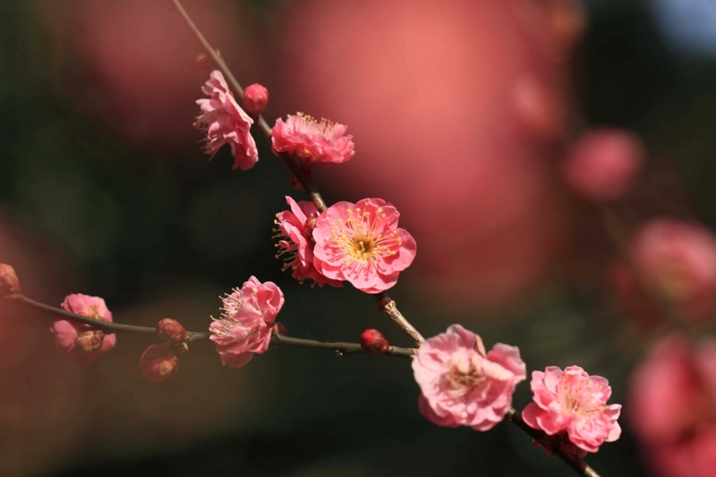 f:id:hiroshisj:20120306195107j:image f:id:hiroshisj:20120306195107j:image