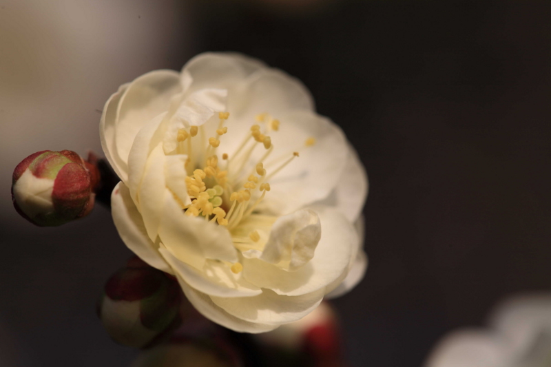 f:id:hiroshisj:20120306195119j:image f:id:hiroshisj:20120306195119j:image
