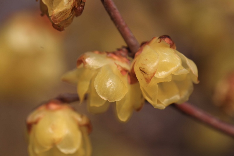 f:id:hiroshisj:20120306195138j:image f:id:hiroshisj:20120306195138j:image