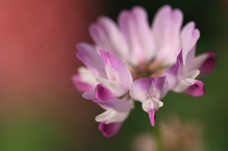 f:id:hiroshisj:20120310211831j:image f:id:hiroshisj:20120310211831j:image
