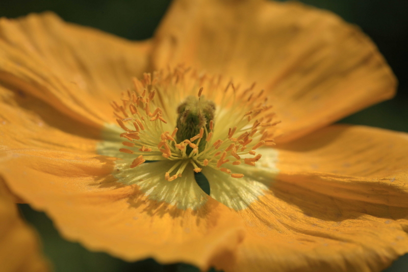 f:id:hiroshisj:20120310212155j:image f:id:hiroshisj:20120310212155j:image