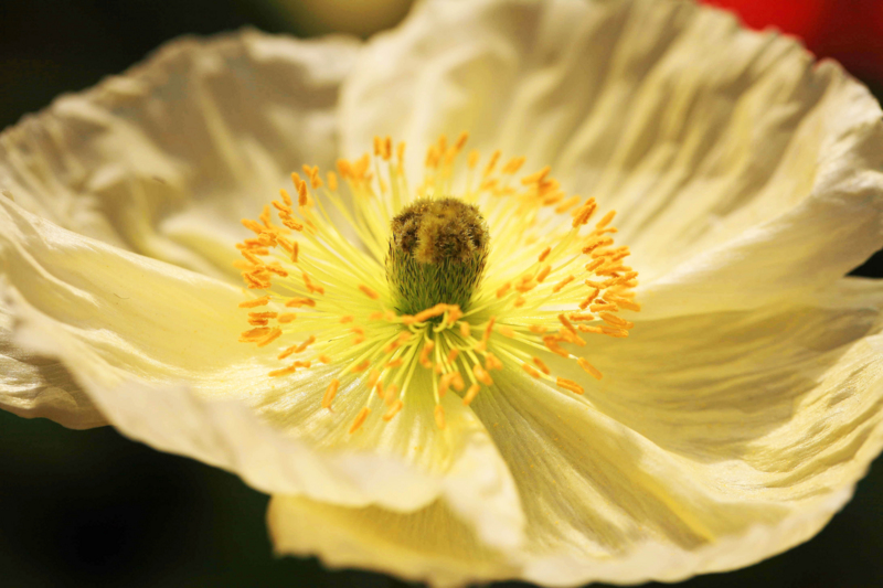 f:id:hiroshisj:20120312162311j:image