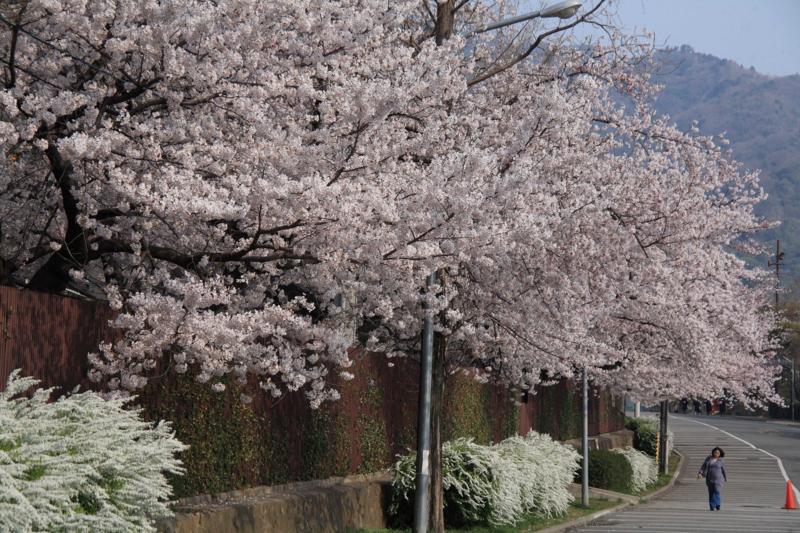 f:id:hiroshisj:20120416164923j:image