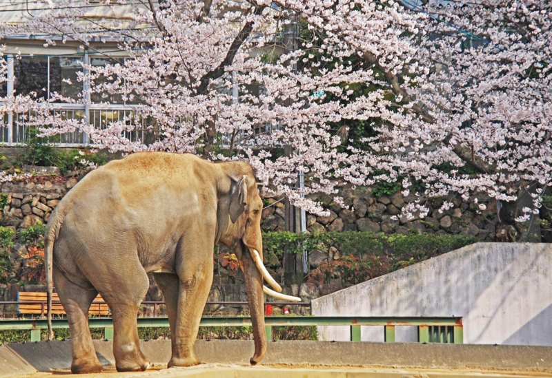 f:id:hiroshisj:20120416164952j:image