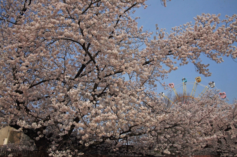 f:id:hiroshisj:20120416165036j:image