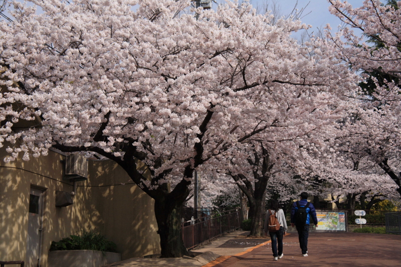 f:id:hiroshisj:20120416165409j:image