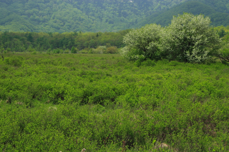 f:id:hiroshisj:20120601002718j:image f:id:hiroshisj:20120601002718j:image
