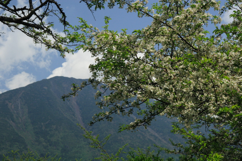 f:id:hiroshisj:20120601002736j:image f:id:hiroshisj:20120601002736j:image