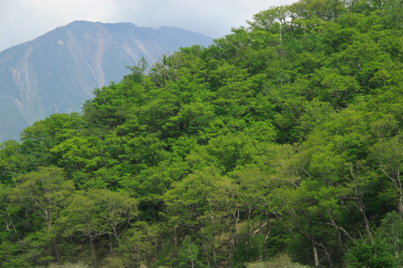f:id:hiroshisj:20120602194622j:image