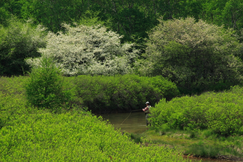 f:id:hiroshisj:20120602194700j:image