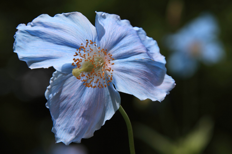 f:id:hiroshisj:20120611105025j:image