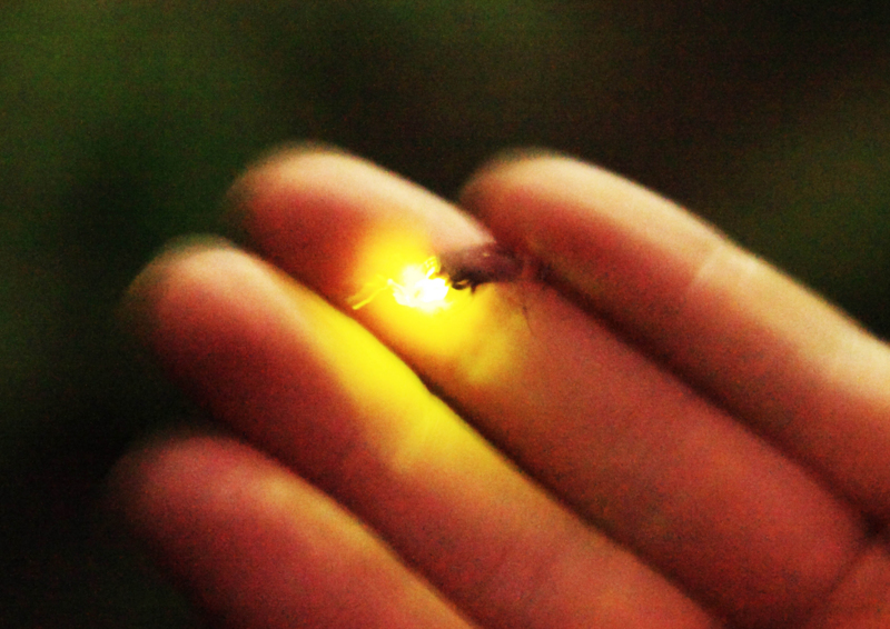 f:id:hiroshisj:20120612154331j:image