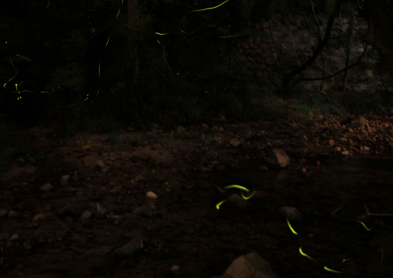 f:id:hiroshisj:20120612154345j:image